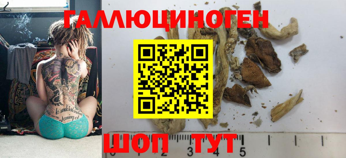 Псилоцибиновые грибы MAGIC MUSHROOMS Мыски