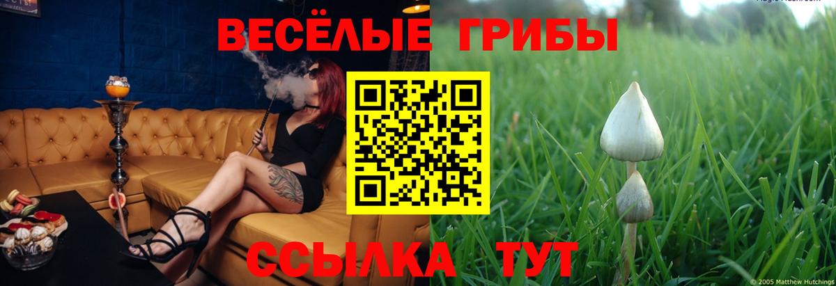 Псилоцибиновые грибы MAGIC MUSHROOMS  Псилоцибиновые грибы Psilocybe  Мыски  Вход с VPN 